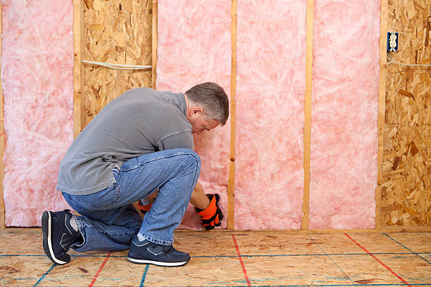 Best Geographic-Specific Insulation Services in North Charleroi, PA
